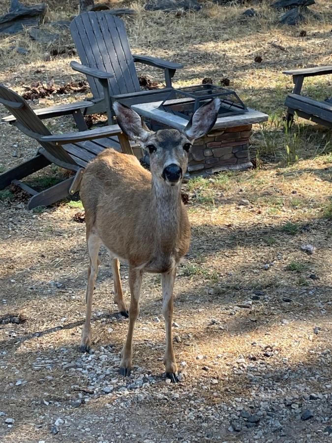 גרובלנד Yosemite Escapes - Pine Mountain Lake מראה חיצוני תמונה