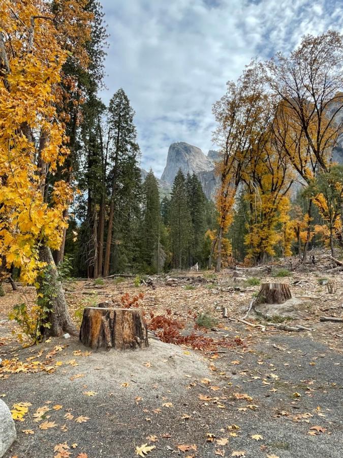 גרובלנד Yosemite Escapes - Pine Mountain Lake מראה חיצוני תמונה